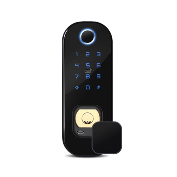 Waterproof Ip65 Smart Lock Fingerprint Rim Lock Wifi Intelligent Digital Electronic Lock With Tuya App